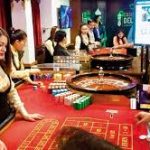 Navigating the Daemul Casino Official Site: A User’s Guide