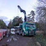 The Importance of Building Recycling for Halmstad’s Green Future