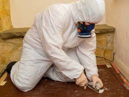 Understanding the Basics of Residential Asbestos Testing