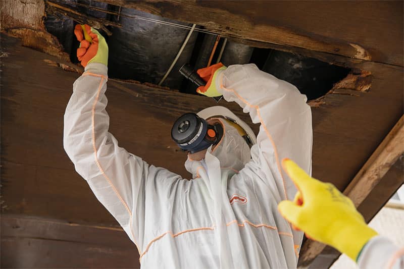 Asbestos Testing – Detailed Reports for Informed Decision Making