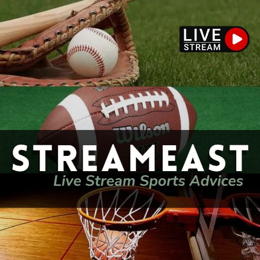 Beginner’s Handbook to StreamEast Live Streaming Platforms