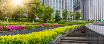 How Regular Tree Maintenance Safeguards Your Property